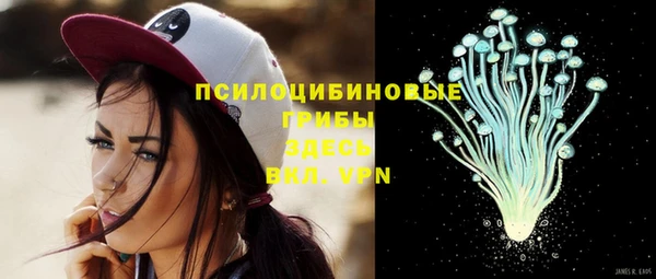крисы Покров