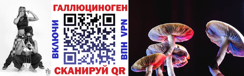 Псилоцибиновые грибы MAGIC MUSHROOMS  купить закладку  Ужур 